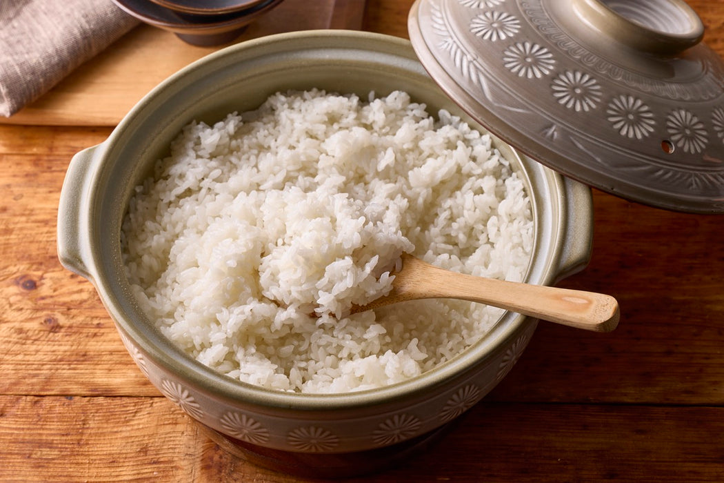 花三島 土鍋 8号 IH対応